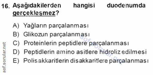 Soru 16