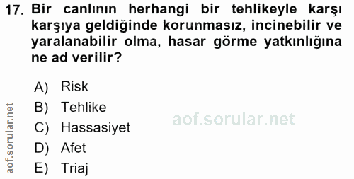 Soru 17