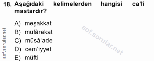 Soru 18