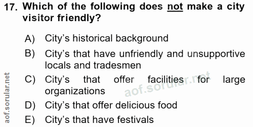 Soru 17