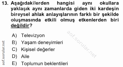 Soru 13
