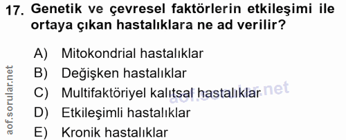 Soru 17