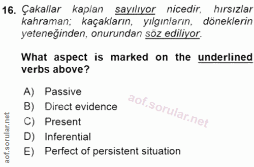 Soru 16