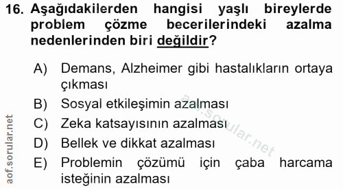 Soru 16