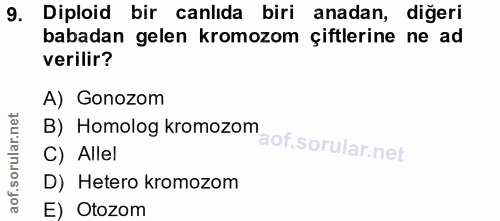 Soru 9