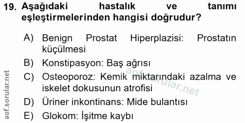 Soru 19