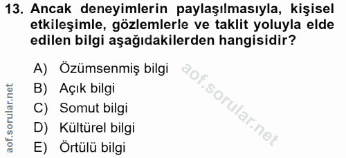 Soru 13