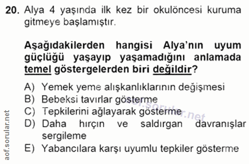 Soru 20