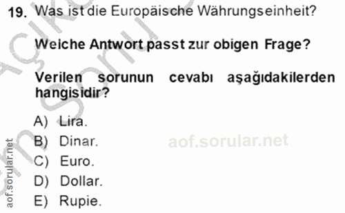 Soru 19