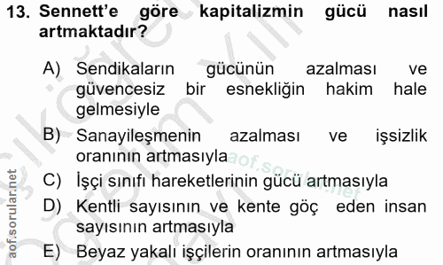Soru 13