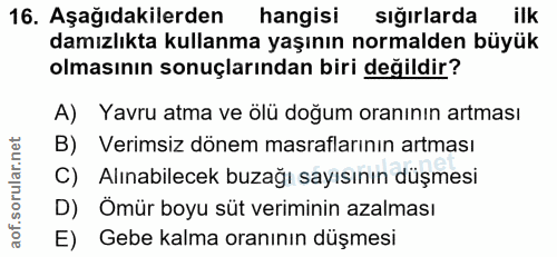 Soru 16