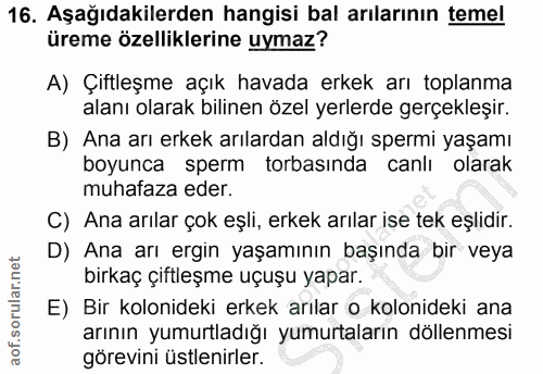 Soru 16