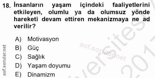 Soru 18