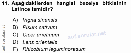Soru 11