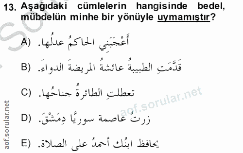 Soru 13