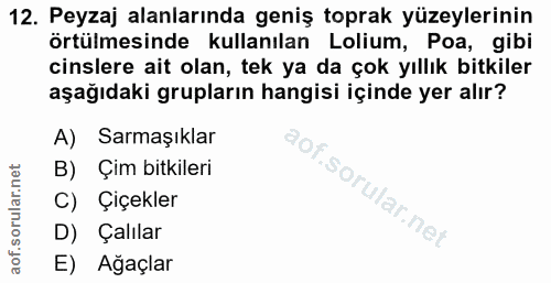 Soru 12