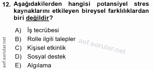 Soru 12