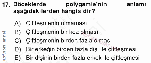 Soru 17