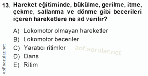 Soru 13