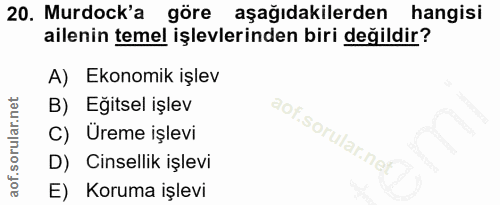 Soru 20