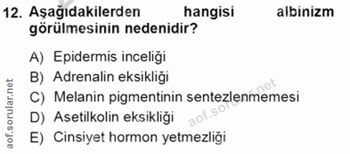 Soru 12
