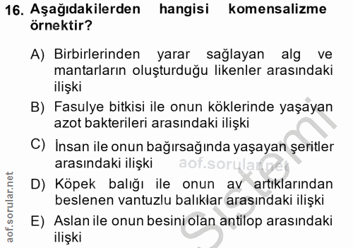 Soru 16