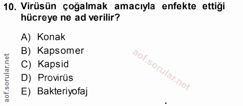 Soru 10