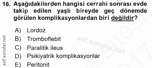 Soru 16