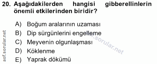 Soru 20
