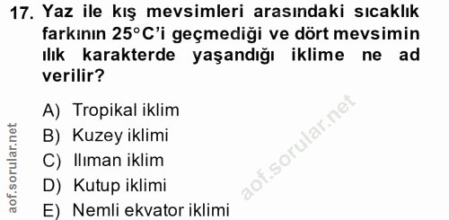 Soru 17