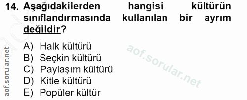 Soru 14