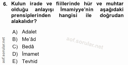 Soru 6