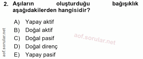 Soru 2