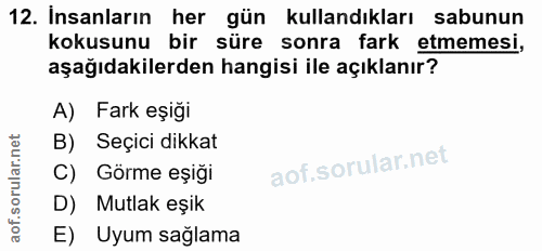 Soru 12