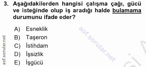 Soru 3