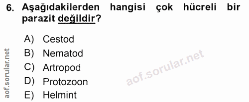 Soru 6