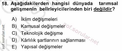 Soru 18