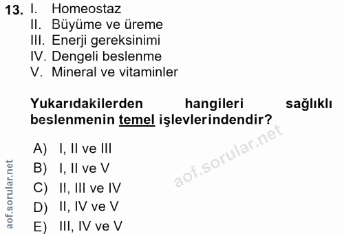 Soru 13
