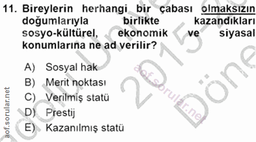 Soru 11