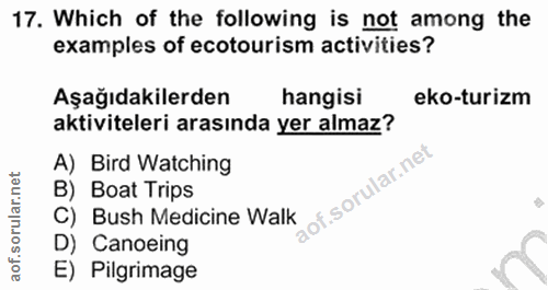 Soru 17