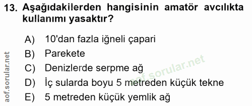 Soru 13