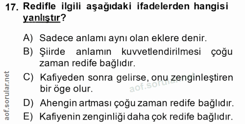 Soru 17