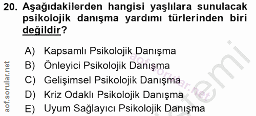 Soru 20