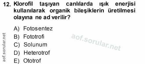 Soru 12