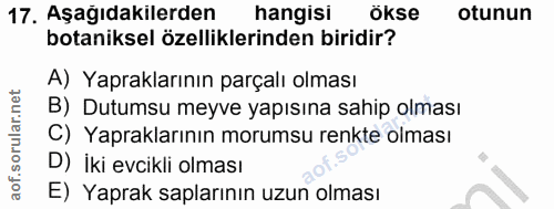 Soru 17