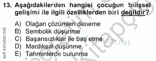 Soru 13