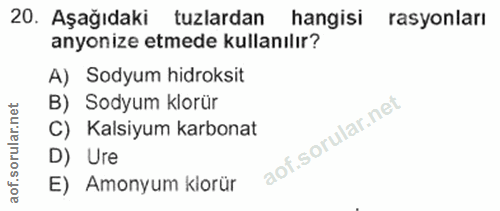 Soru 20