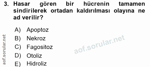 Soru 3