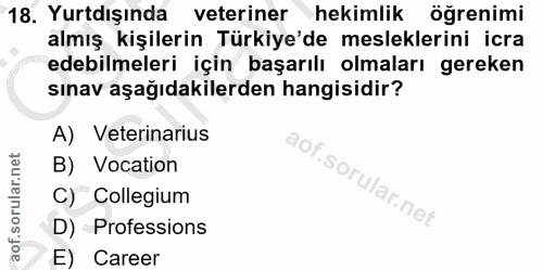 Soru 18