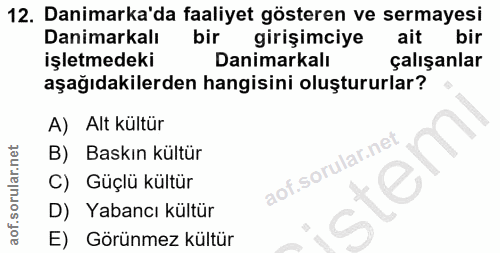 Soru 12